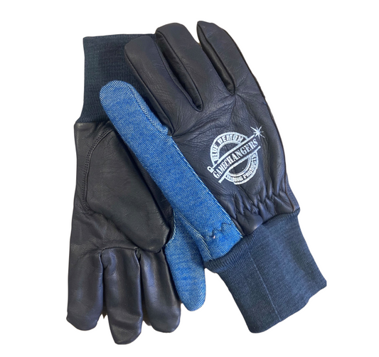 Blue Demon Game Changer Gloves - Heavy D's